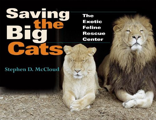 saving the big cats the exotic feline rescue center quarry books
