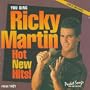 Sing The Hits Of Ricky Martin - Hot New Hits (Karaoke)