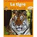 Le tigre : Seigneur de la jungle