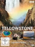 Yellowstone - Legendäre Wildnis Yellowstone - Legendäre Wildnis