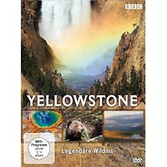 Yellowstone - Legend�re Wildnis