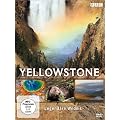 Yellowstone - Legend�re Wildnis