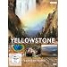 Yellowstone - Legend�re Wildnis