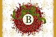 Monogram Holiday Wreath Floormat B Monogram Holiday Wreath Floormat B