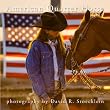 2014 American Quarter Horse Calendar