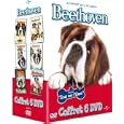 D�tails sur le produit