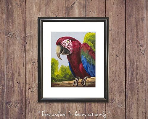 Parrot Art Print, Scarlet Macaw from Original Oil Painting by Heather Ann Orlando
