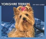 Yorkshire Terriers 2009 Boxed Calendar