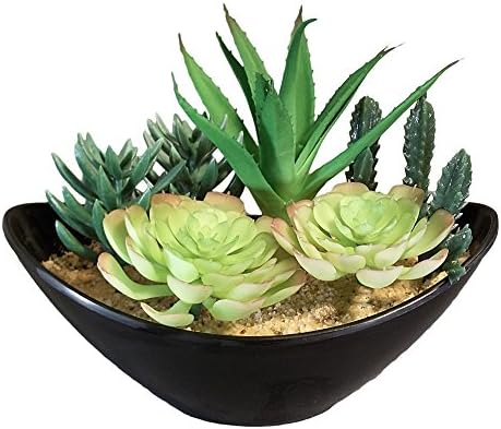 Faux Cactus Succulent Garden in Oval Planter (Black)