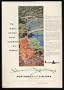 1957 Northwest Orient Airlines The Orient Print Ad (12206)