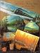 Fall Foliage & Mountain Train and More to Paint (Esa's Art Designs...Book 3)