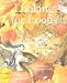 Looking for Loons (Hardcover) by Jennifer Lloyd