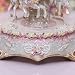 Laxury LED Illumination Carousel Music Box (Model Mp2087b,polyresin)_s-4