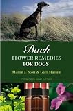 Bach Flower Remedies for Dogs