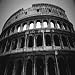 Designer Shower Curtain - Colosseum