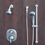 Zoe Dolphin Vll Brushed Nickel Shower System with Moen Valve