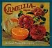 Redlands Camellia Flowers Orange Citrus Fruit Crate Box Label Art Print
