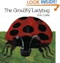 The Grouchy Ladybug
