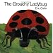 Grouchy Ladybug