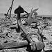 Anchor of Debris Littering Beaches, a Result of the Fighting to Retake the Marshall I...