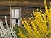 Mountain Farm Museum Great Smoky Mountains National Park North Carolina, USA Photogra...