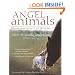 Angel Animals: Divine Messengers of Miracles