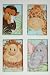 Jungle Babies Light Switch Plate and Outlet Cover Set
