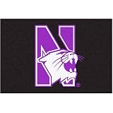 Fanmats Northwestern Wildcats Starter Mat
