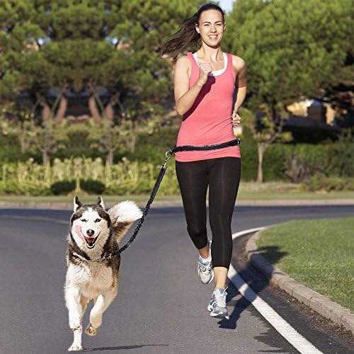 Omgar Hands Free Dog Leash, Built-in Strong Elastic Belt, Bungee Reflective Stitch, Waist belt for Running Jogging Walking Hiking