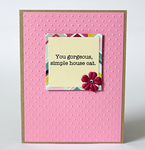 Parks and Recreation Handmade Greeting Card Leslie Knope Compliment Card Gorgeous Simple House Cat Ann Perkins Amy Poehler Parks and Rec