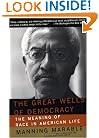 The Great Wells Of Democracy: The Meaning Of Race In American Life