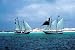 Pirate Ship - 48