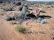 Abandoned Furniture, Southwest Desert Photograph - Beautiful 16"x20" Photographic Print by Carol M. Highsmith