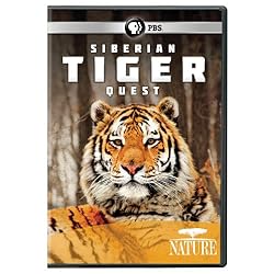 Nature: Siberian Tiger Quest