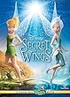 Secret of the Wings