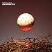 Jackmaster -