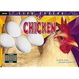 Chicken (Life Cycles)