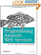 Programming Amazon Web Services: S3, EC2, SQS, FPS, and SimpleDB