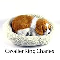 Pet Nap Breathing Life Like Dog in Bed - Sleeping Pet Cavalier King Charles Puppie