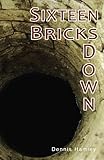Sixteen bricks down