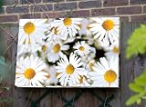 Daisies Outdoor Artwork