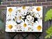 Kitchen & Housewares : Daisies Outdoor Artwork