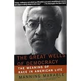 the great wells of democracy the meaning of race in american life