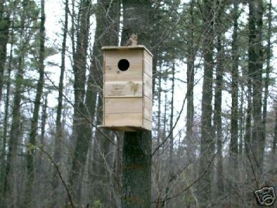 2 Kestrel Hawk Nesting Boxes