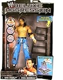 WWE Wrestling DELUXE Aggression Series 10 Action Figure Matt Hardy with Ladder