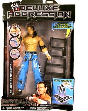 WWE Wrestling DELUXE Aggression Series 10 Action Figure Matt Hardy with Ladder-image