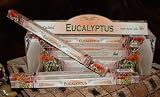 Eucalyptus Incense Sticks Exotic Incense Stick 25 Units of 8 Sticks Each Stregth, Cleanliness and Purification