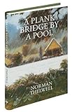 A plank bridge by a pool