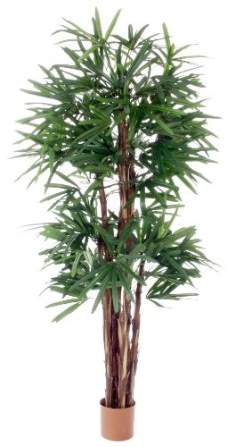 Kettler Raphis Artificial Palm Tree with 789 Leaves, 1-Per Pack, 5-Feet Tall