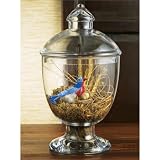 Terra Birds Nest Apoth Jar